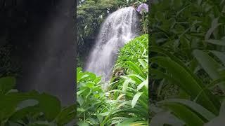 Beautiful Waterfall @ Ribeira dos Caldeirões Nature  park, Sao Miguel Azores #youtubeshorts