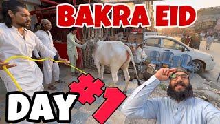 Bakra Eid Day 1 Vlog | Daily Vlog 266