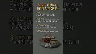 5. 5. 5 건강루틴
