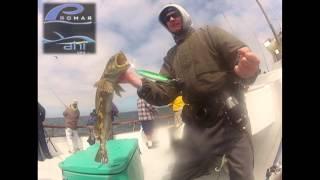 Reel Anglers Fishing Show - Complete Episode 17