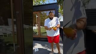 Fresh Mango  Taste Test 