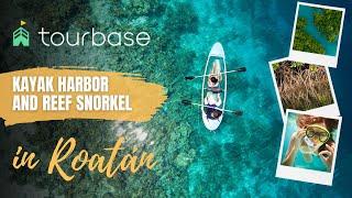 Roatan Tourbase - Kayak Harbor & Reef Snorkel