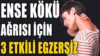 ENSE KÖKÜ AĞRISI İÇİN 3 ETKİLİ EGZERSİZ #aktifizyo #boyunağrısı #fiziktedavi