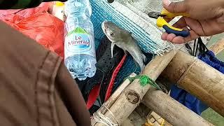 mancing kakap dan runcahan, rumpon morosari