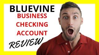  BlueVine Business Checking Account Review: Pros and Cons