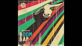 Moo Latte - Pieces of Boom Bap Vol. 2 Sample Pack