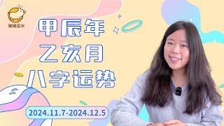 甲辰年乙亥月（24.11.7-24.12.5）八字运势【精华版】超级适合搭建框架的水木驿马月猪猪运势