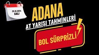 29 Ekim 2024 Salı Adana At Yarışı Tahminleri