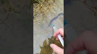 Amazing Fishing Video  Satisfying Fishing Hight Technology  Tik Tok China #fishing #Ep358
