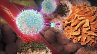 What is immuno-oncology treatment for cancer?