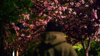 billy woods "Born Alone" [OFFICIAL VIDEO]