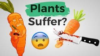 Plants Feel Pain Debunked