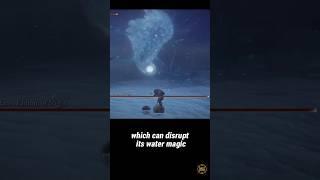 Elden Ring Nightreign Augur Boss - Maris, Fathom of Night