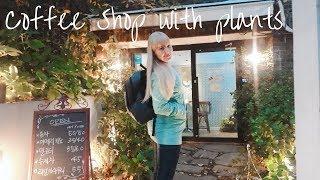 A cozy coffee shop plant tour / Indoor plants decoration ideas