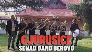 SENAD BAND BEROVO - Gjurusice (Cover) NEW!!!!!2024