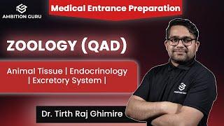 CEE - QAD | Zoology | Animal Tissue + Endocrinology +Excretory System |