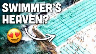 99.9% of Swimmers Will Want to Swim in THESE POOLS (Top 7)