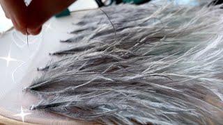 Ostrich Feather Embroidery Tutorial