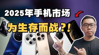 华为鸿蒙遇阻，小米全面崛起？2024-2025年中国智能手机市场，全面深入解读！