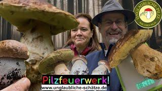 Monster Steinpilze im Schwarzwald! Steinpilz Suche der Extraklasse! Pilze suchen September 2024