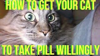 HOW TO HELP YOUR CAT TAKE PILL / MEDICINE WILLINGLY NO FUSS NO STRESS