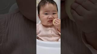 243일 바다의 사과먹방 #아기 #baby #cute #cutebaby #funny #babygirl #babycute #anak #anakanak #apple #makan #과일