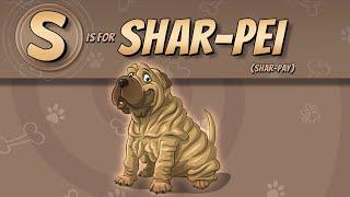 The Shar-Pei