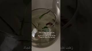 قناتي صدقة جارية لي ولكل من يتابعني #اللهم_صَلِّ_على_محمدٍ_وآلِ_محمد #اطمأن #توعيه ᰔ