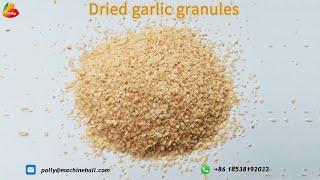 Dried Garlic Granules