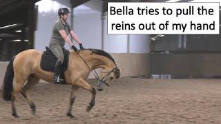 Bella is trying go faster by grabbing the reins. She succeeds, once! This video was taken 4 months.