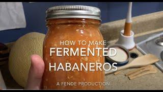 Fermenting Habaneros