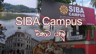 SIBA Campus එකට යමු | Kandy