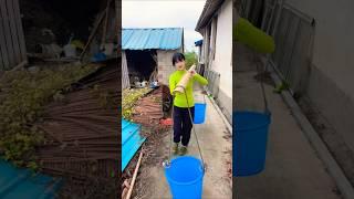 Lift up manure as fertilizer#农村 #农事#农村姑娘#liziqi