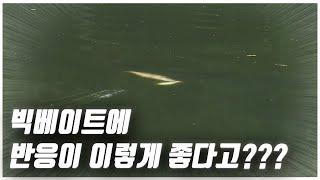 가을이 오면서 배스들이 좋아하는 게 몇 가지 있습니다!!! [feat. 박성완] korea bass