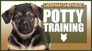 PUPPY TRAINING! GERMAN SHEPHERD POTTY TRAINING