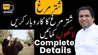 How to Start an Ostrich Farming Business in Pakistan - Complete Step-by-Step Guide For Beginners!!!