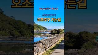 제주 드라이브 코스. 웰컴투 삼달리 촬영지 오조리 "Beautiful Road"