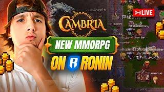 Cambria Gameplay - New play to earn MMORPG on Ronin