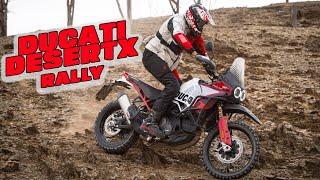 2024 Ducati DesertX Rally – Action, Design, Accessories | Off-Road Beast