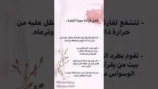 فضل قراءة سورة البقرة  #اشهد_إن_لا_اله_الى_الله #قرآن_كريم #تحصين_النفس #سورة_البقرة