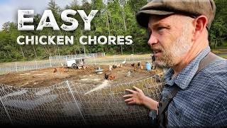 This Accident Makes Chicken Chores So Easy (Stop Putting them up at Night)