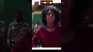 ️ #Shorts #tigray #tigraymusic #tigraytiktok #debretsion #tigraynews #tmh #eregnaye#dwnews