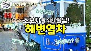 Busan Travel Beach Train on the sea! We will tell you about Haeundae seafood restaurants!