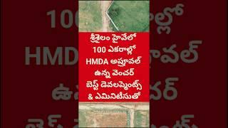 100 Acres HMDA Approved Venture Between Kandukur & Kadthal #mucherla #srisailamhighway #hmdaplots