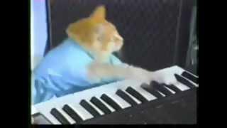 Play Rachida Dati Off - Keyboard Cat