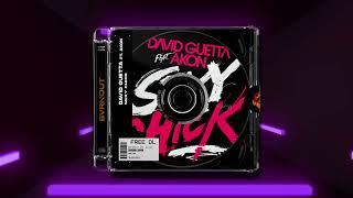 David Guetta ft. Akon - Sexy Chick (BVRNOUT Remix)