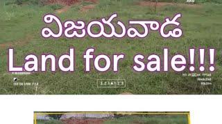 VIJAYWADA LAND FOR SALE - 9381060509 - MS REAL ESTATES 2M #msrealestates2m  #landforsale