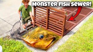 I Found MONSTER FISH In SEWER!