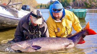 Tugur River taimen trip 2021. Includes footage of world record taimen  Река Тугур. Поездка 2021г