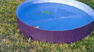 User Guide for Auroth Dog Swimming Pool with Fountain